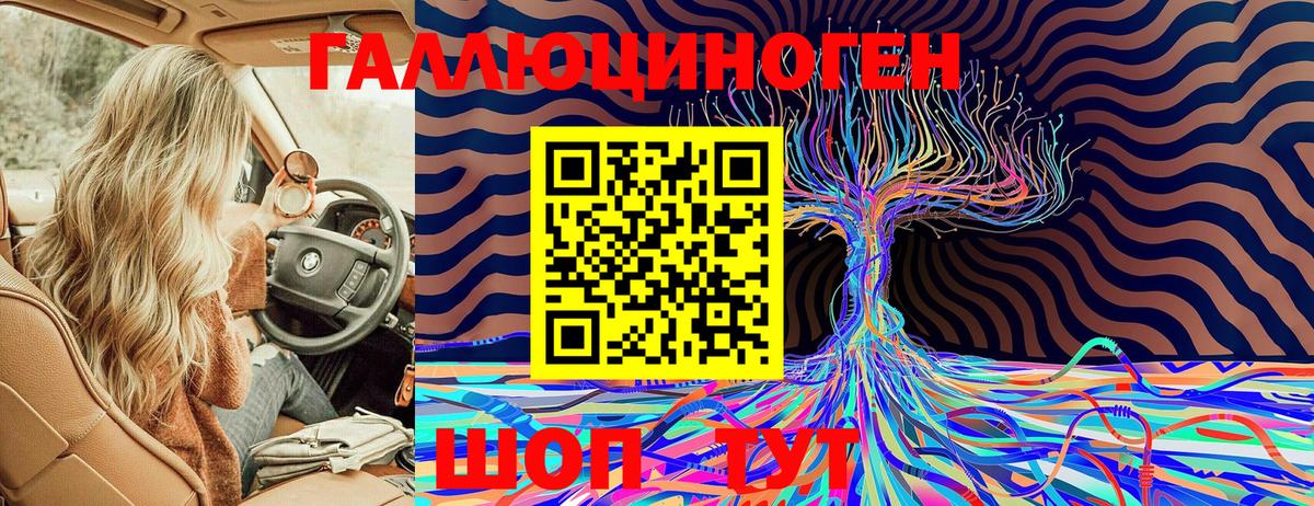 Псилоцибиновые грибы Cubensis Новокубанск